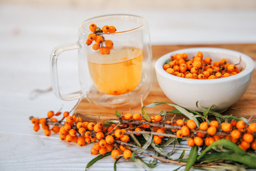 nectar catina